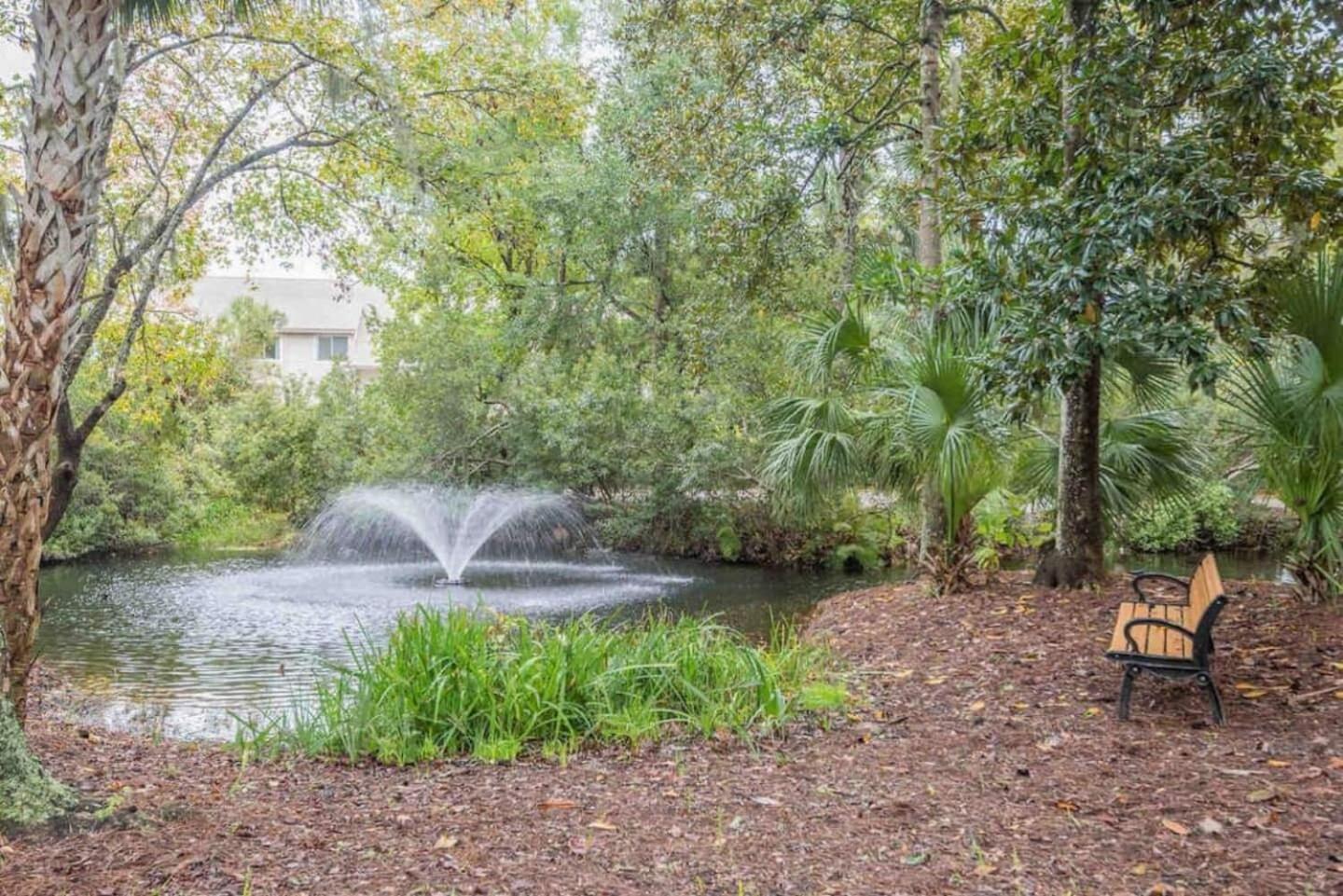 Forest Beach Condo Walk To Coligny, Pool, Tennis Hilton Head Island Buitenkant foto